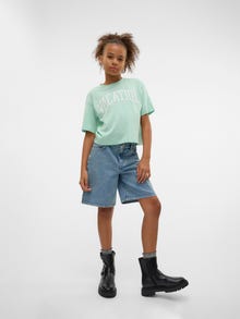 Vero Moda VMSIA Topp -Birds Egg Green - 10328129